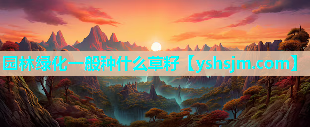园林绿化一般种什么草籽