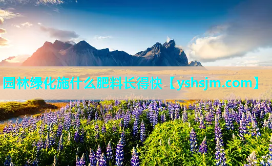 园林绿化施什么肥料长得快