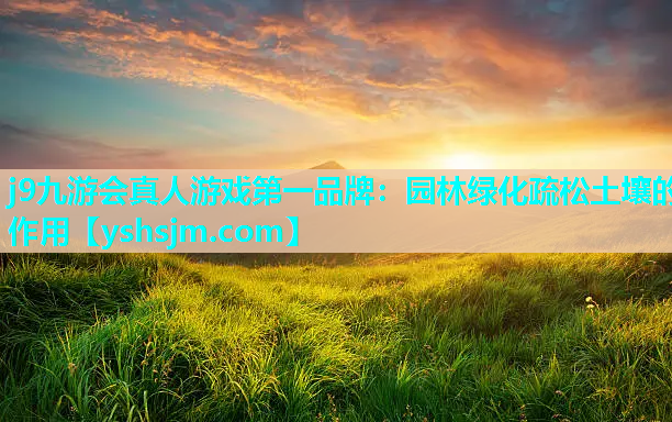 j9九游会真人游戏第一品牌：园林绿化疏松土壤的作用