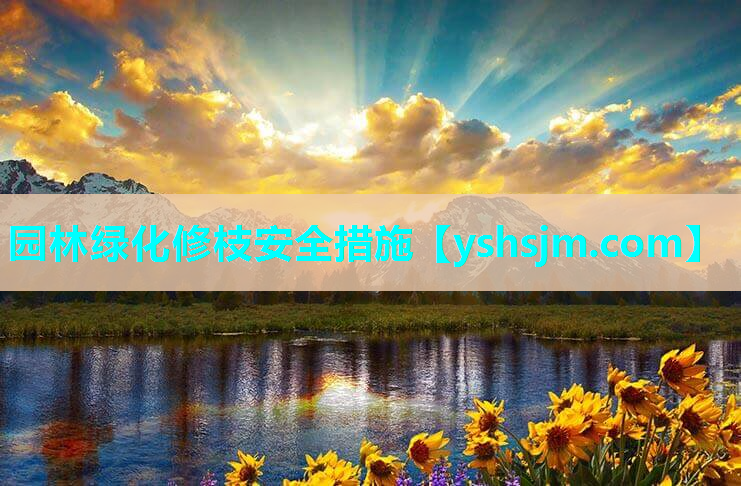 园林绿化修枝安全措施