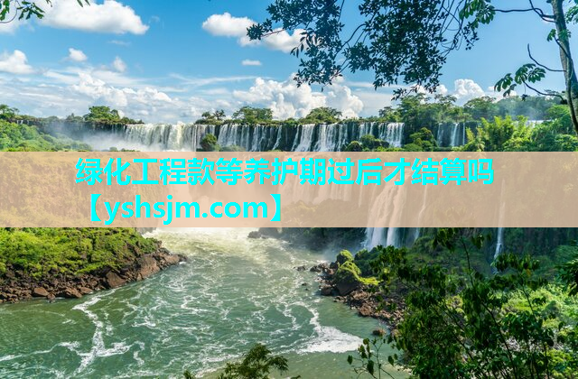 绿化工程款等养护期过后才结算吗