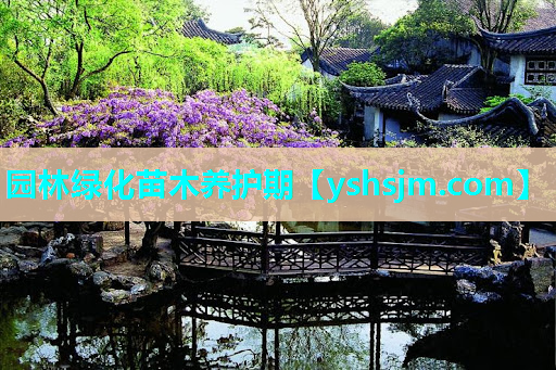园林绿化苗木养护期