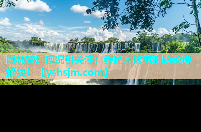 园林管理现况引关注：乔灌木修剪难题亟待解决！