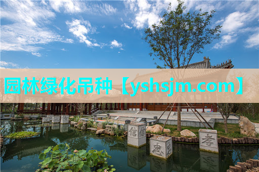 园林绿化吊种