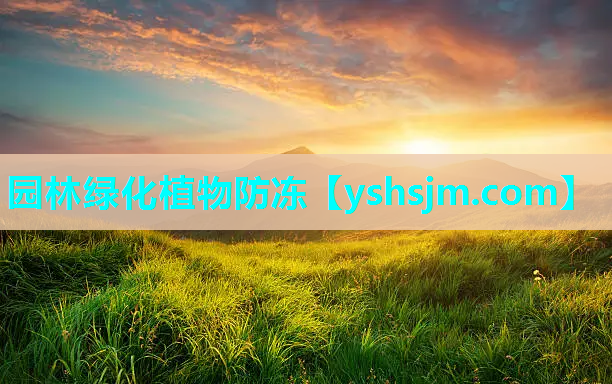 园林绿化植物防冻