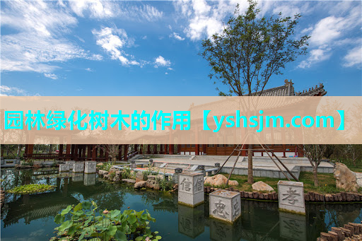 园林绿化树木的作用