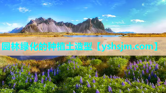 园林绿化的种植土造型