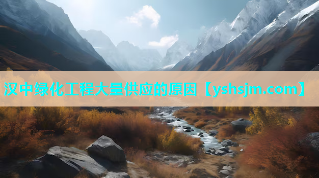汉中绿化工程大量供应的原因