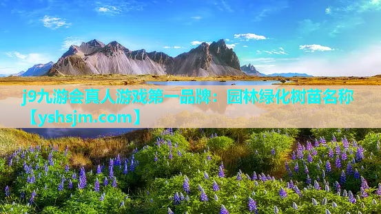 j9九游会真人游戏第一品牌：园林绿化树苗名称